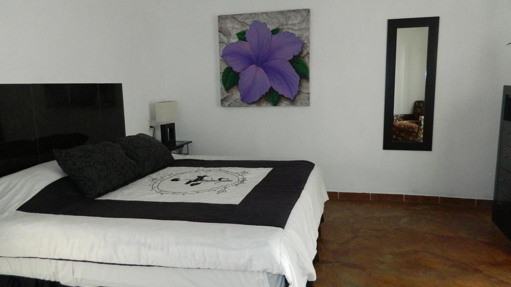 Hotel Condominium La Posada De 布塞里亚斯 外观 照片