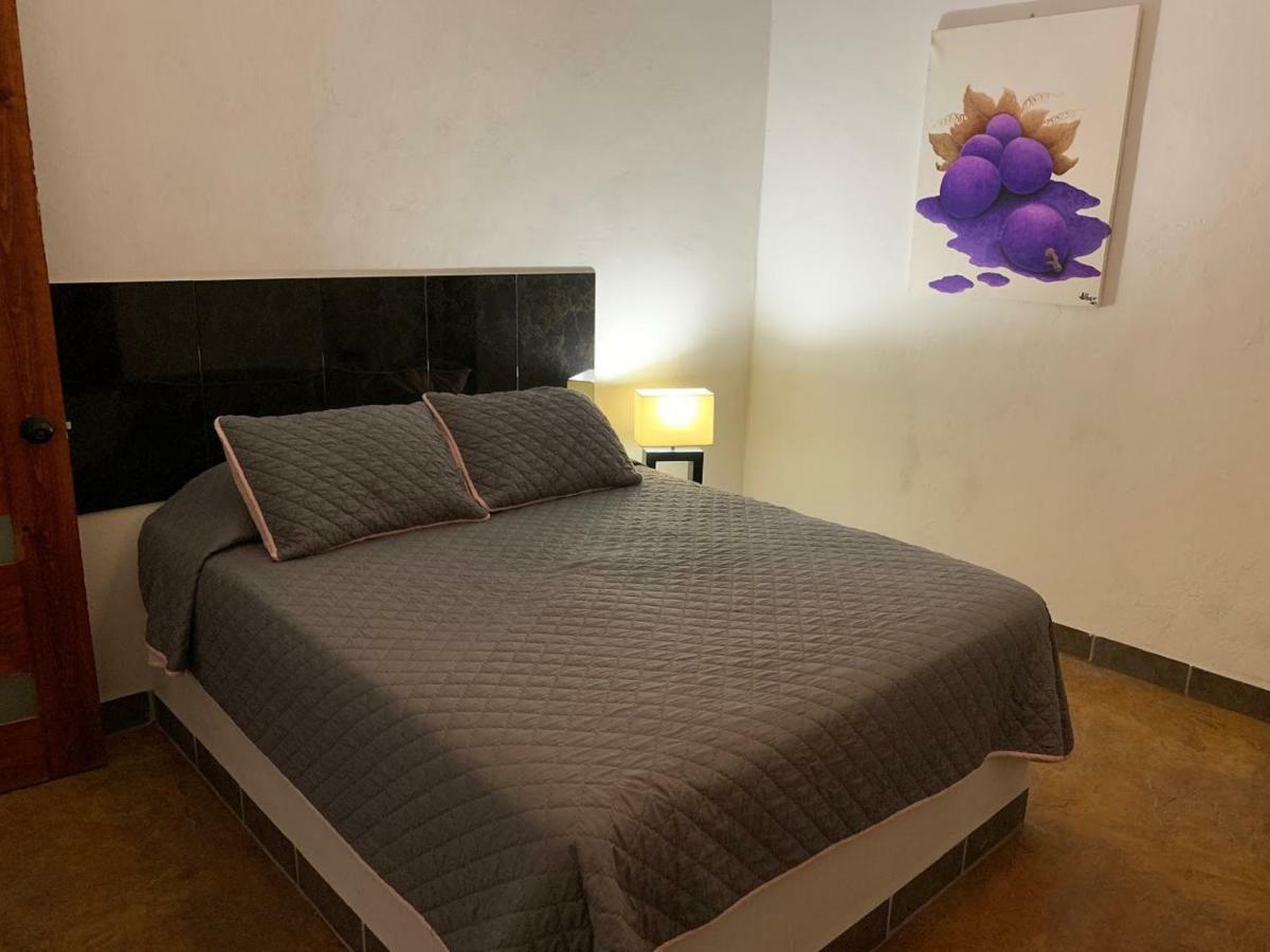 Hotel Condominium La Posada De 布塞里亚斯 外观 照片